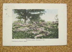 Mountain Laurel Hinsdale NH 1911 Mark S Mann Pub - Picture 1 of 2