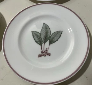 Royal Worcester Cream Sprig Pattern Bone China 6” Dessert Plates Set Of 9 - Picture 1 of 4