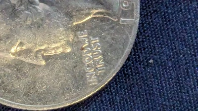 1981 quarter filled p error “In Cod We Trust” - Image 1 of 4