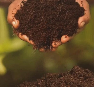 Coco Peat Sri lanka Coconut Coir Powder Dust Dry 100% Natural Growing 400g pack - Picture 1 of 3