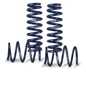 Resortes H&R 40/50 mm 29072-1 Opel GT (tipo K/R a partir de 07) muelles deportivos - Imagen 1 de 1