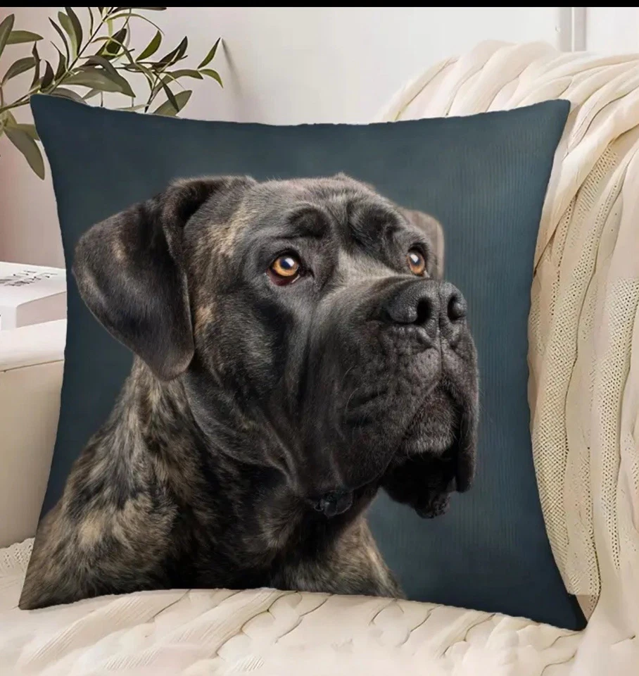 Funda de almohada decorativa Cane Corso Italiano Mastín Perro Retrato Foto 1 de 4