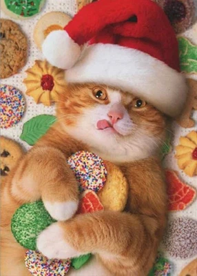 "Wishing you season of family friends & cookies!" AVANTI CAT CHRISTMAS CARD - Image 1 of 2