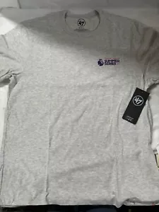 PREMIER LEAGUE SOMMER SERIE 47 MARKE 2023 GRAU GRÖSSE ERWACHSENE LARGE - Bild 1 von 4