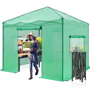 EAGLE PEAK 10x10 Portable Walk-in Pop up Indoor Outdoor Garden Greenhouse - Picture 1 of 17