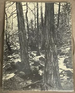 Redwood High School in Larkspur CA 1974 74 "LOG" Yearbook Vol XVI - Picture 1 of 1