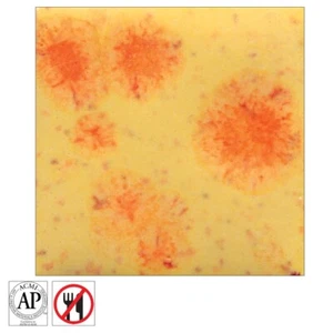 Mayco Jungle Gems Crystal Glaze Citrus Splash - Picture 1 of 1