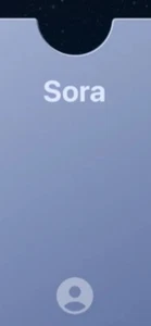 Open AI Sora 2 Invite Code - Picture 1 of 2