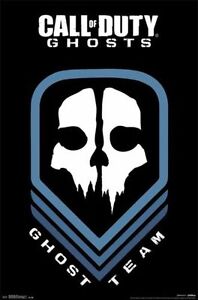 2014 ACTIVISION CALL OF DUTY GHOSTS GHOST TEAM SKULL LOGO POSTER  NEW 22x34