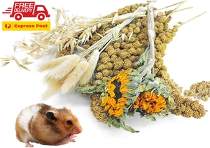 Natural Hamster Bedding Mate, Edible Hamster Sprays Flowers & Herbs Gerbil Habit - Picture 1 of 6