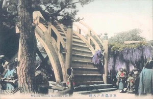 PC JAPÓN Tokyo Wisteria Flor Kameido 1910s - Imagen 1 de 2