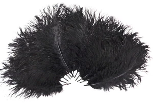 Mini plumas de avestruz negras 5-8 pulgadas por 24 - Imagen 1 de 2
