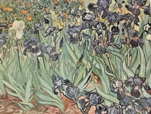 Dutch/Post Impressionists Art Reproduction, Vincent Van Gogh, Irises 1889 - Picture 1 of 2