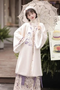 LOTE Conjunto Hanfu Mujeres Chino Tradicional Año Nuevo Hanfu Disfraz Rojo Ma Mian Falda - Imagen 1 de 39
