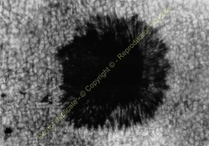 CPSM 65200 BAGNIERES DE BIGORRE Observatorio Del Pic Du Midi Foto Espacio N4 - Bild 1 von 2