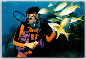 Postkarte Taucher und Gelbschwanz Schnapper Fische unter Wasser  - Bild 1 von 2