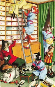 CARTOLINA ANTROPOMORFA VINTAGE HARTUNG MAINZER GATTI DEVASTAZIONE NEL NEGOZIO DI SCARPE 052225 U - Foto 1 di 2
