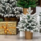 PE Material Christmas Tree Xmas Snow Pine Decor for Festive Atmosphere