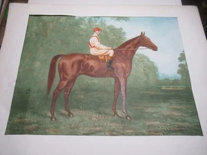BELLE LITHOGRAPHIE COULEURS Par C.D. GILES CHEVAL GUIDO RENI 1911 COURSES TURF - Picture 1 of 5