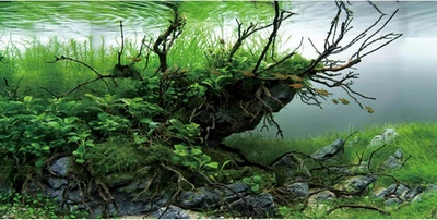 Fondo de pecera de ramas de 48X20 pulgadas fondo de acuario de algas lecho de río Foto 1 de 4