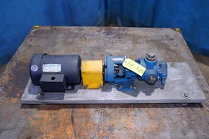 Viking Pump HL124A with LEESON 2 HP, 1725 RPM MOTOR MOD# C6T17FB119A - Picture 1 of 17