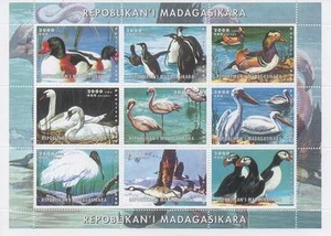 Pájaro Pato Pingüino Cisne Pelícano 2000 MNH Hoja Estampilla - Imagen 1 de 1