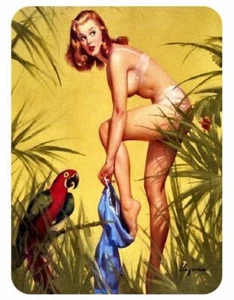 Pinup Girl Sticker Decal pin up pin-up P51 - Bild 1 von 1