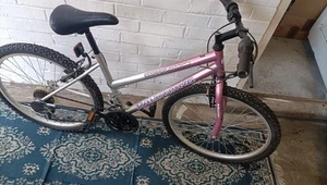 Pink/silver wild thing universal IR1100 Teenagers bike - Picture 1 of 3