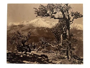 Antique/Vintage D. L. Hopwood Pikes Peak Sepia Photograph Plaque Denver Colorado - Picture 1 of 7