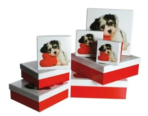 Geschenkverpackungen Hund 8er Set Kartons Terrier Herz Geschenkbox Geburtstag  - Bild 1 von 2