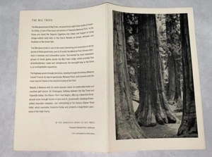 YOSEMITE AHWAHNEE MENU Jul 18 52 5.5x8.5" Ansel Adams Mariposa Grove - Picture 1 of 2
