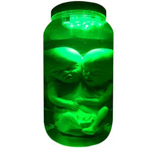Baby Fetus Siamese Twin Double Head Pickled Punk Circus Freak Medical Specimen - Picture 1 of 5