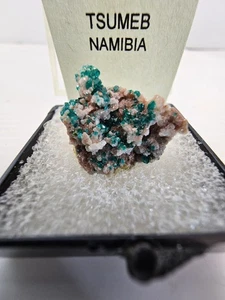 Dioptase, Tsumeb Mine, Namibia Crystal Mineral Specimen  - Picture 1 of 6