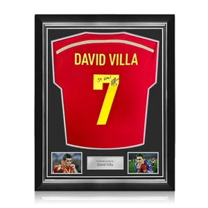 Maglia David Villa firmata originale Spagna 2013-15: 59 gol. Telaio Superior - Foto 1 di 5