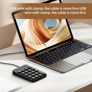 USB Numeric Keypad with Slim Profile for Efficient Numerical Data Input - Picture 1 of 11