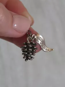 De Colección Plata Esterlina Watkins Glen Nueva York NY Piña Banderín Pulsera Dije VER - Imagen 1 de 10
