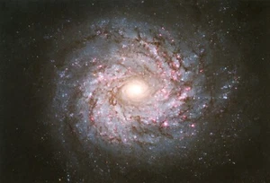 Spiralgalaxie im Sternbild Ursa Major, NASA-Foto --POSTKARTE - Bild 1 von 2