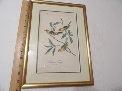 John Audubon, 1ª edición Royal Octavo, P 210, Louisiana Tanager litografía original Foto 1 de 2