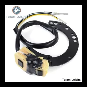 Stator Lichtmaschine für Mercury 15 HP De 1988 1989 1990 1991 1992 1993 À 1997 - Bild 1 von 4