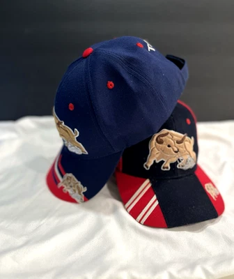 Boné de beisebol Toro gancho e laço - Imagem 1 de 4