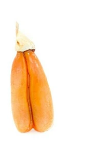 Bottarga della Sardegna prodotto tipico prodotti sardi baffe - Foto 1 di 2