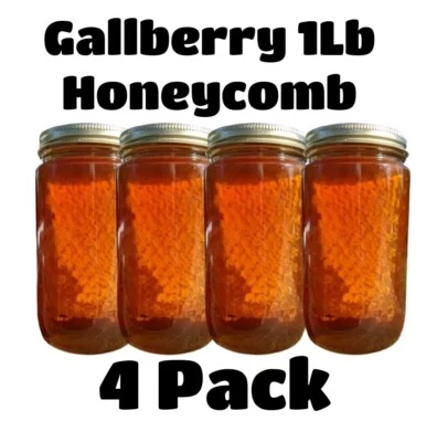 PURE RAW GALLBERRY HONEYCOMB 4 PACK 1lb 454g 16oz 100% PURE RAW UNFILTERED - Image 1 of 4