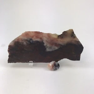 Jaspe Ágata Rojo Oscuro Losa Utah Arizona 6 X 2 1/2 Calidad Pulimentos Sólidos Muy Bonitos - Imagen 1 de 7