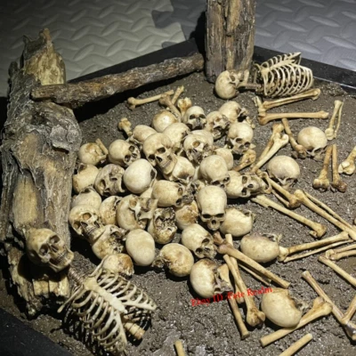 1/12 Scale Human Beings Skeleton Resin Model for 6" Action Figure Accessory Toy - Image 1 of 4