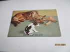 David and Goliath, Vintage Tuck Oilette postcard 5302, Our Dog Friends