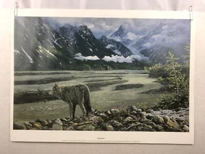 Mark Hobson Uncertainty Wolf Wolves Wildlife Art Print Signed - Picture 1 of 8