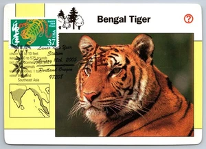 3895c Chinese Lunar New Year Tiger FDC Maxi Card - Picture 1 of 2