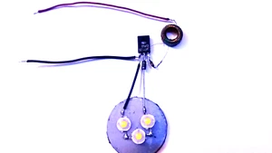 A4F Joulethief LED Treiber "Elektrik Trick" - Bild 1 von 5
