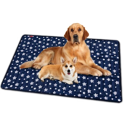 Dog Bed Mat with Cute Prints for Kennels Crates Beds Anti-Slip Bottom 2 Sizes - Image 1 of 4