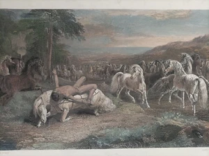 1850 ca. Antica incisione su acciaio Cavalli Mazeppa - Foto 1 di 6